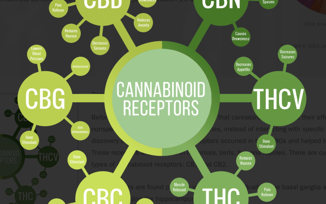 Cannabinoid Profiles